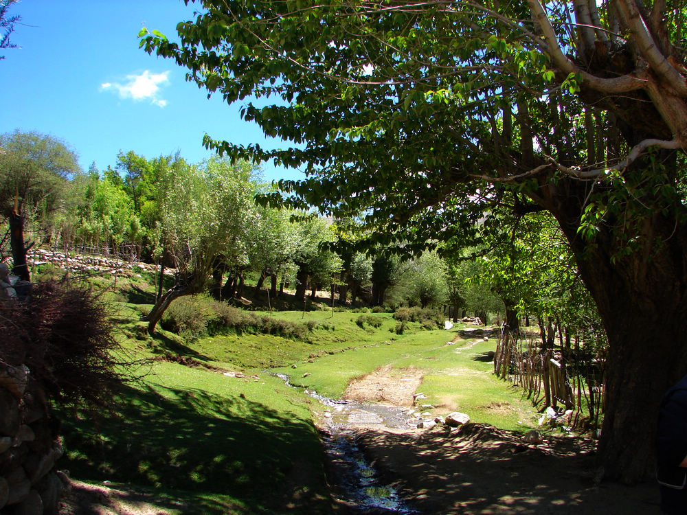 DSC06622