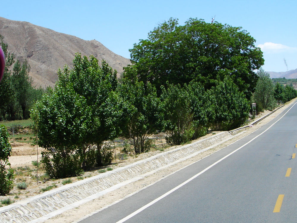 DSC06715