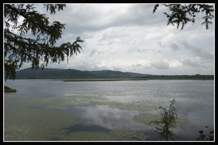 阿尔山杜鹃湖