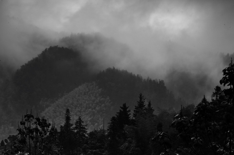 烟雨井冈山_2