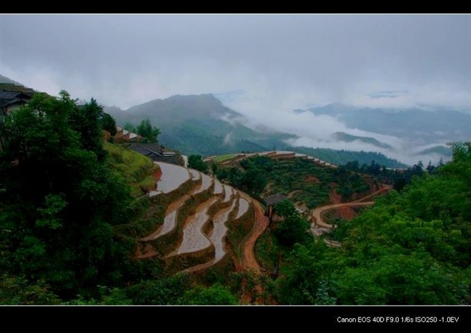 上堡梯田 (3)