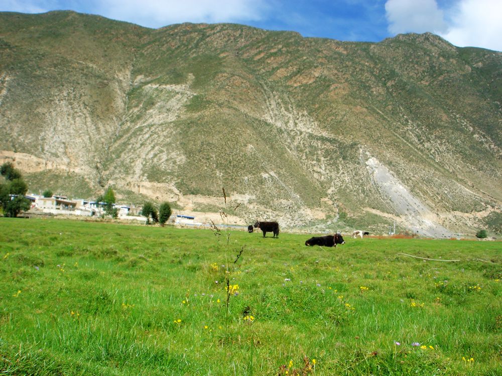 DSC06333