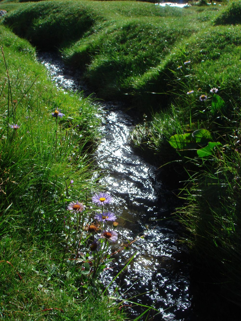 DSC06375