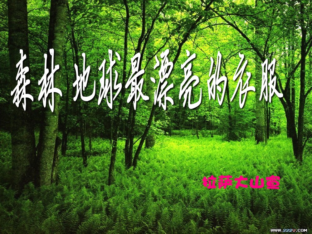 433c25f8555aa975252d