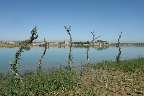 珍珠湖湿地公园; 珍珠湖湿地公园 - 永宁论坛 - 银川论坛 - 入围宁夏